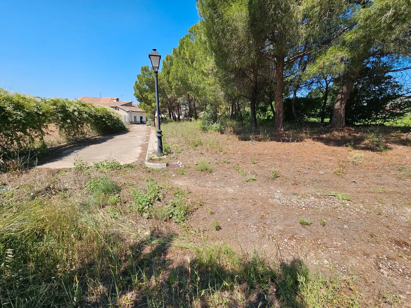 Country homes for sale in Torrelaguna