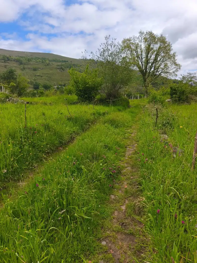 Rural land for sale in Rionansa, imagen 7
