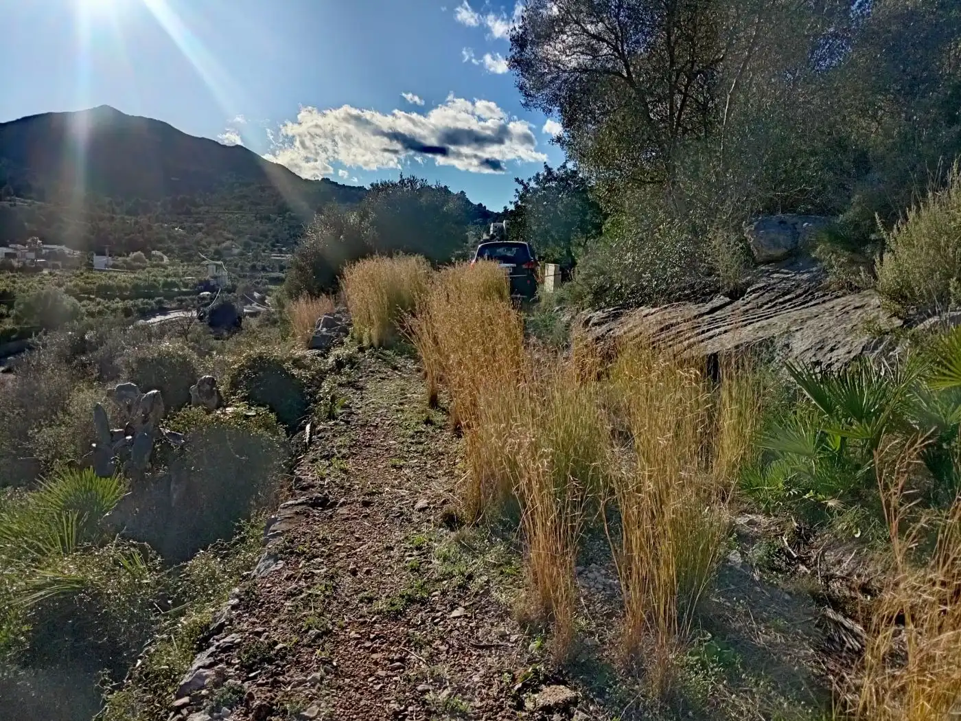 Terreny rústic en venda a Alcalalí, imagen 3
