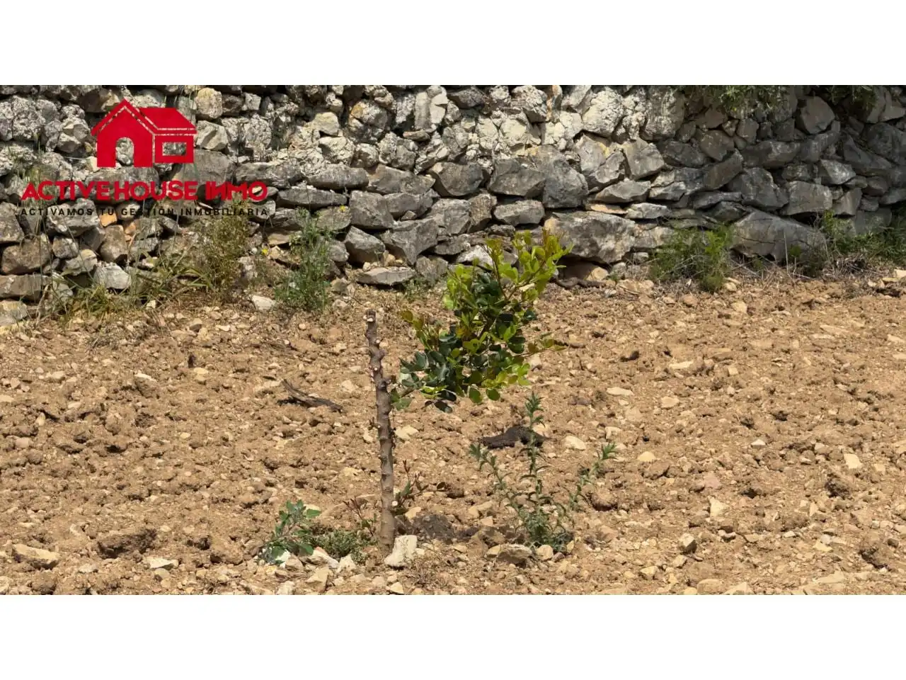 Terreno rústico en venta en Mas de Barberans, imagen 19