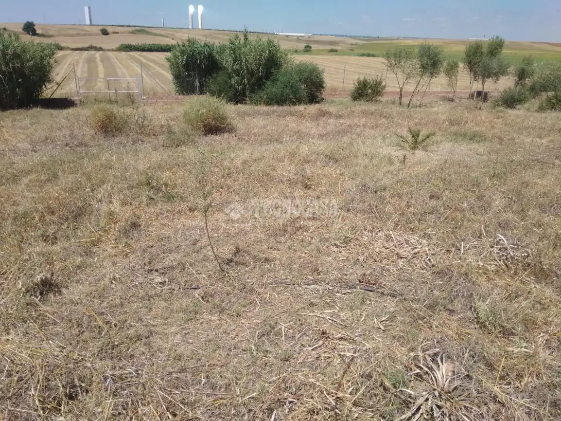 Terreny residencial en venda a Sanlúcar la Mayor, imagen 13