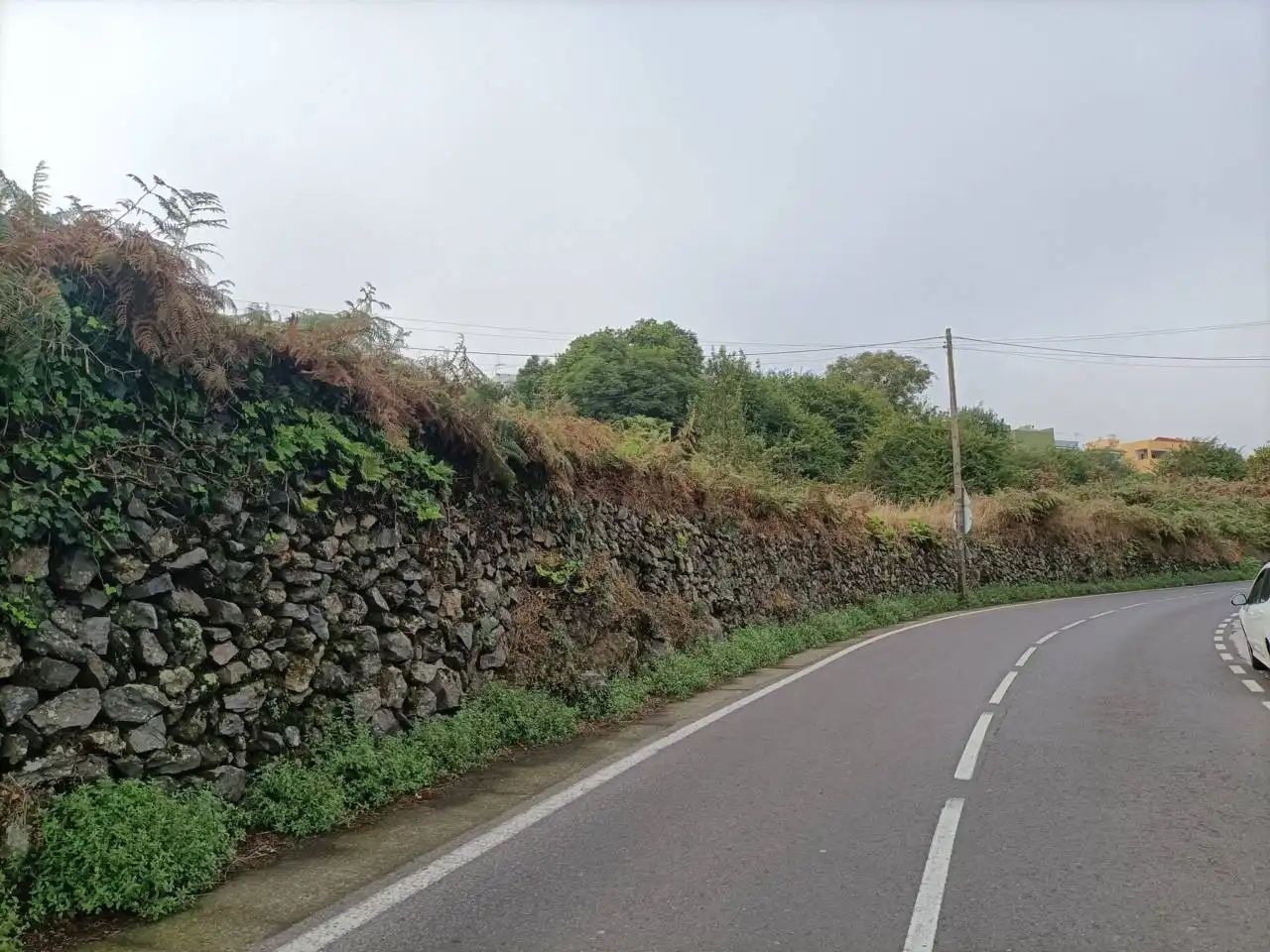 Vista exterior de Terreno en venta en Los Realejos