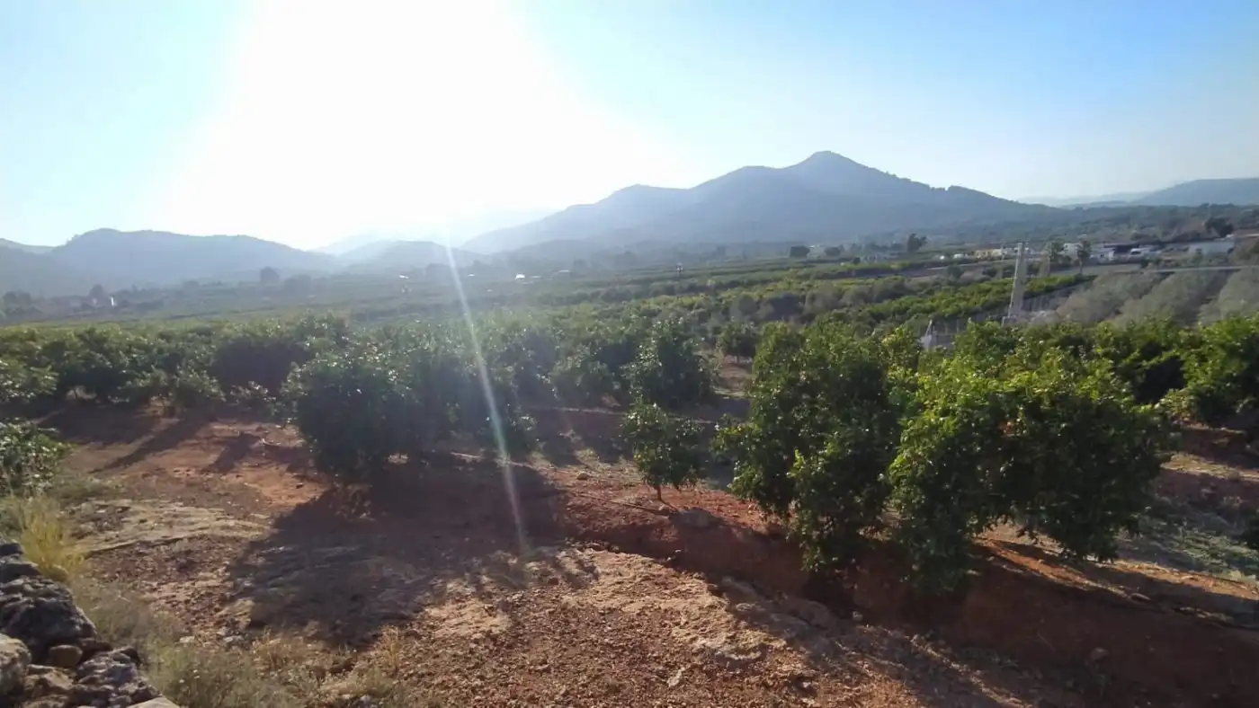 Terreno residencial en venta en Onda, imagen 2