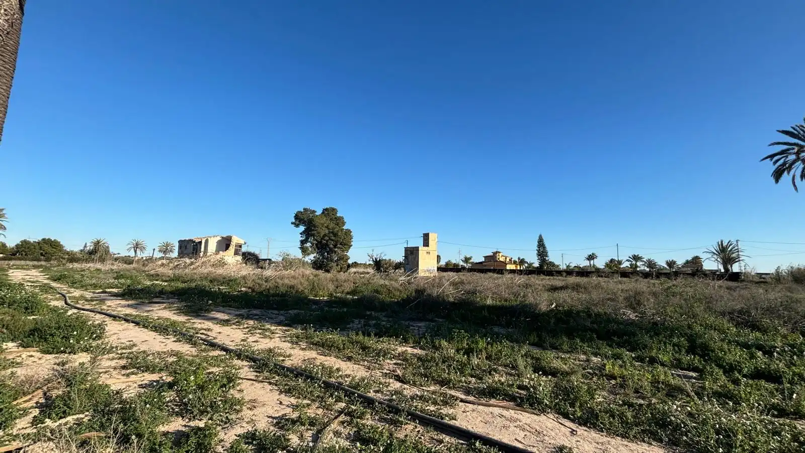 Grundstücke zum Verkauf in Elche / Elx