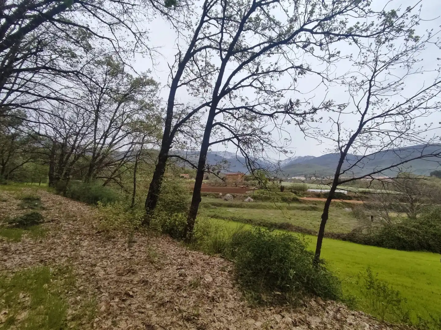 Terreni e lotti in vendita a Jarandilla de la Vera, imagen 19