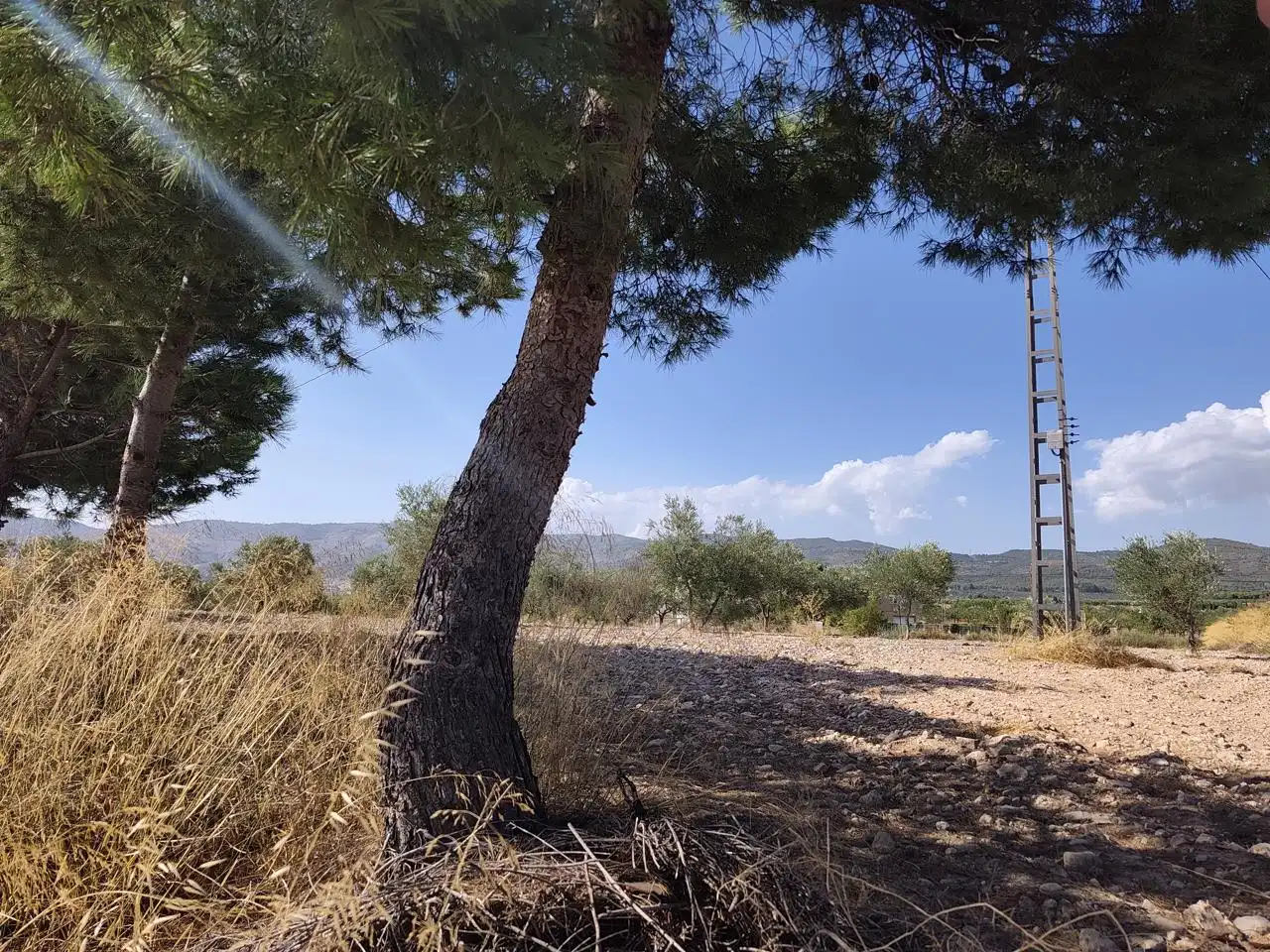 Terreno rustico in vendita a Castalla