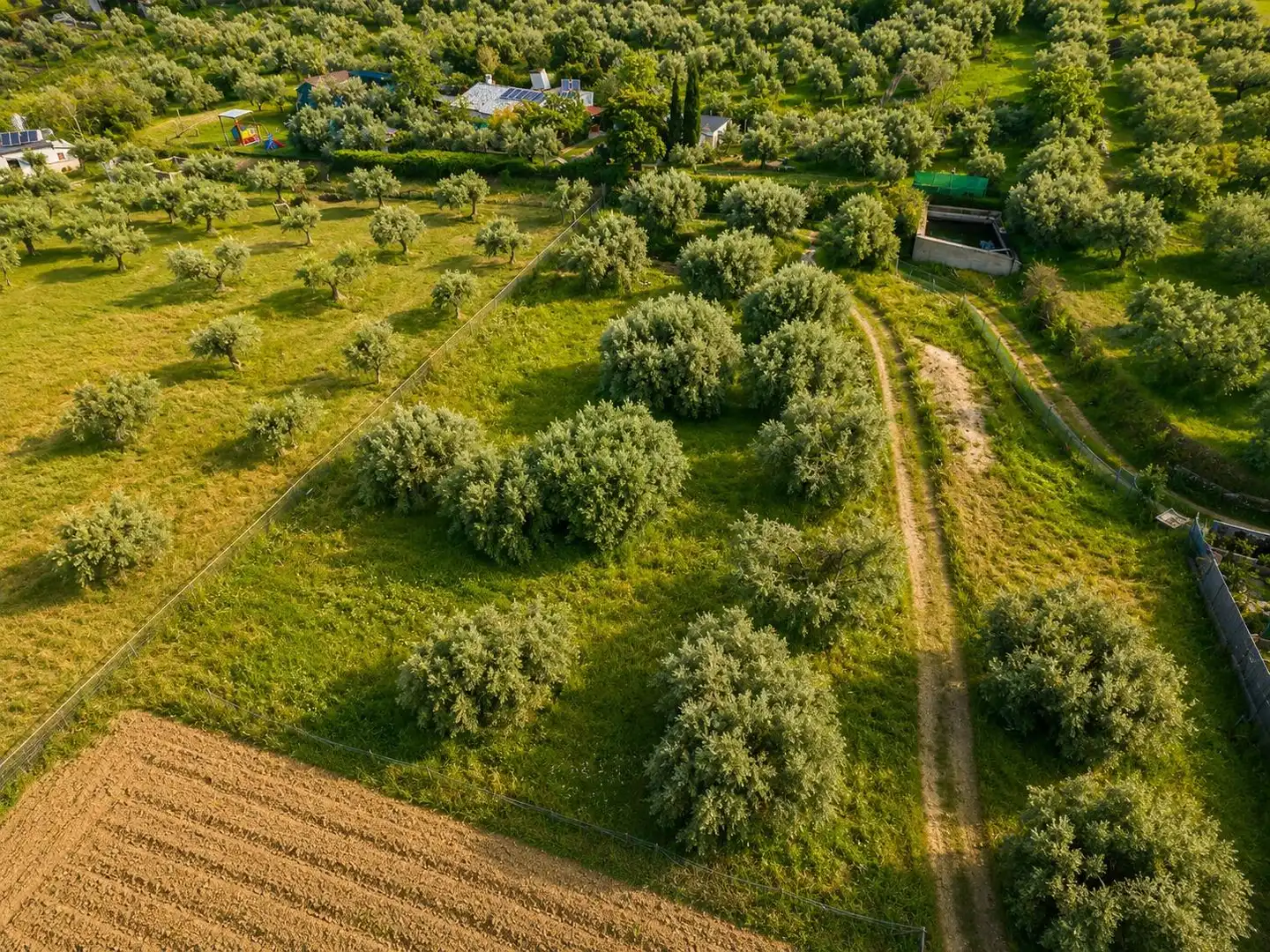 Finca rústica en venta en Monachil pueblo