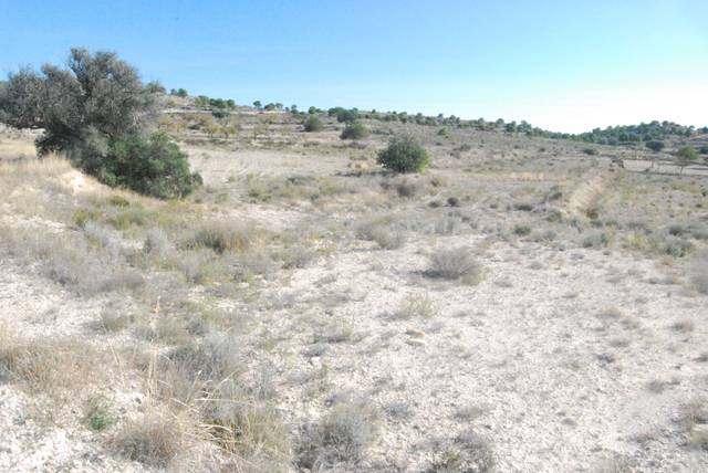 Terreno en Venta en Moralet