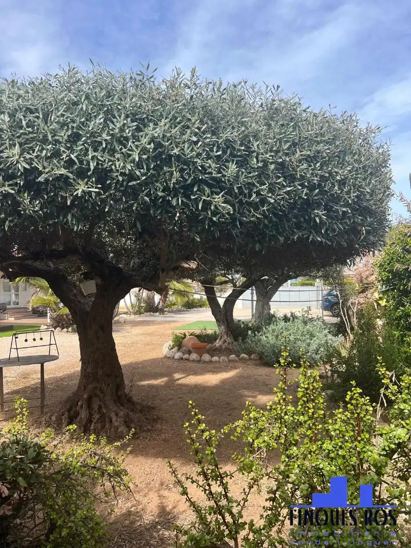 Jardín de Casa o chalet en venta en Vinaròs con Amueblado, Lavadora y Microondas