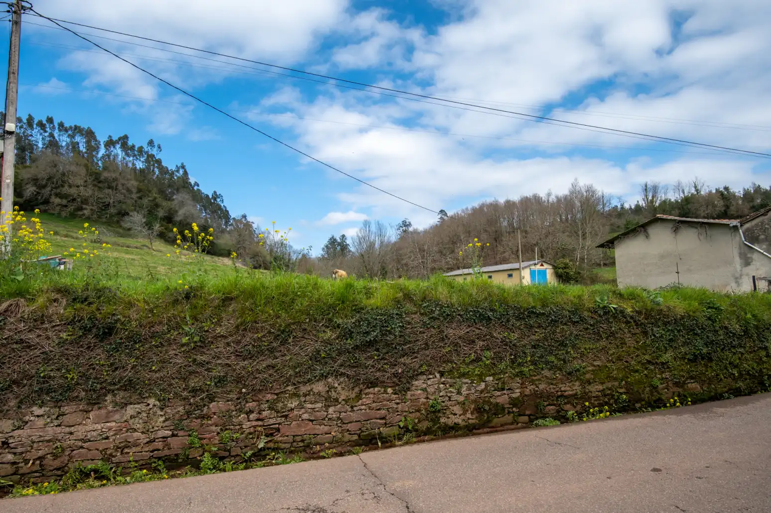 Terreno rustico in vendita a Maoxu, imagen 4