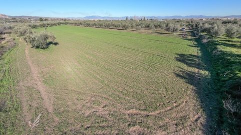 Photo 2 of Land for sale in Camino del Cerro, 189, Villa de Otura, Granada