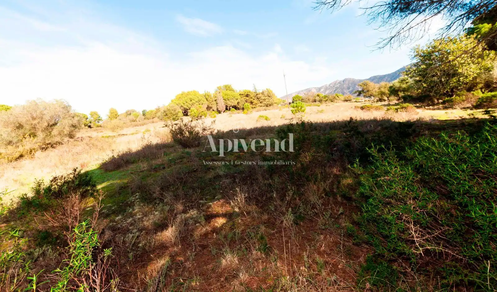 Rural land for sale in Molí de Vent, imagen 13