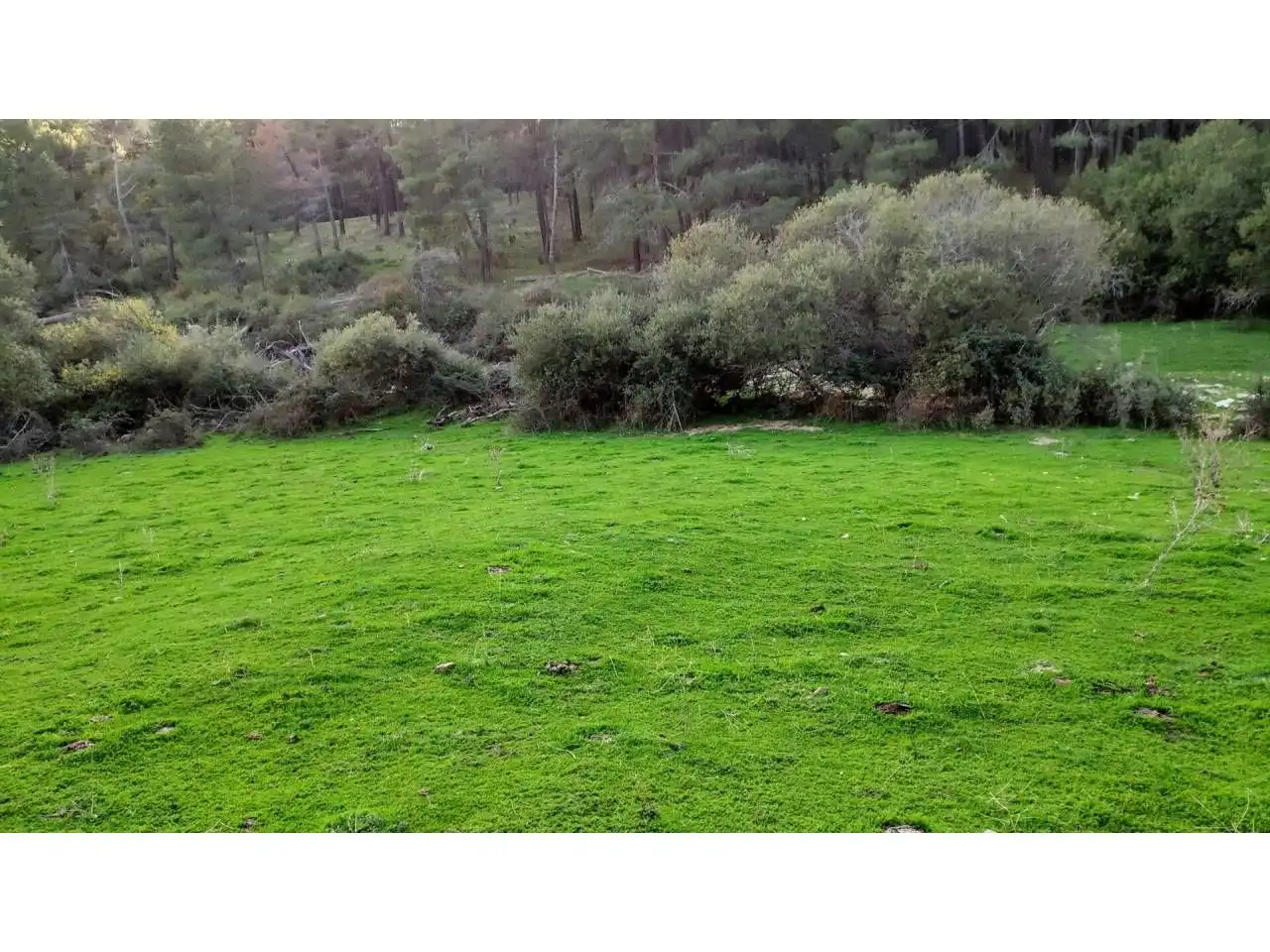 Residencial en venta en Las Navas del Marqués 