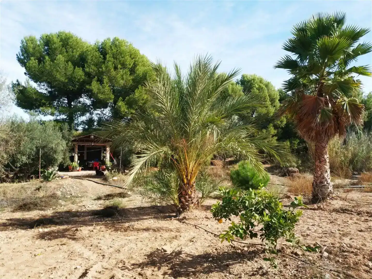 Casa o chalet en venta en Jumilla, Murcia