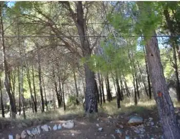 Residential land for sale in Pueblo, imagen 4