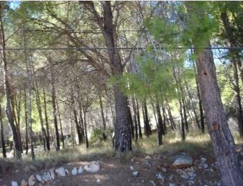 Foto 4 de Residencial en venta en Pueblo, Benicasim / Benicàssim