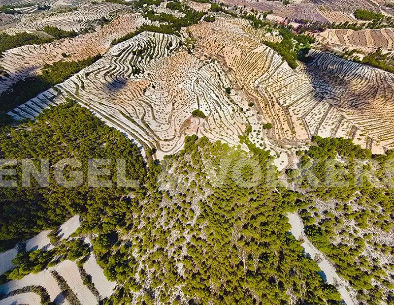 Finca rústica en venta en Jijona / Xixona