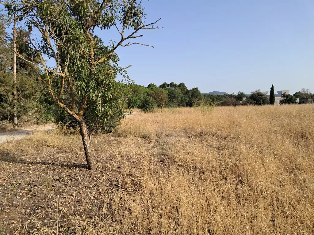 Terreny rústic en venda a Sant Antoni de Portmany, imagen 5
