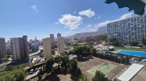 Photo 2 of Study for sale in Juzgados - Plaza de Toros, Alicante