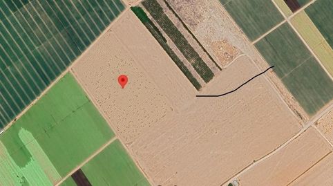 SE VENDE FINCA RUSTICA EN JUMILLA, imatge 2