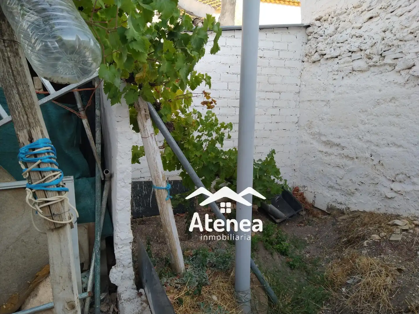 Casa o chalet en venta en Minaya con Calefacción y Amueblado