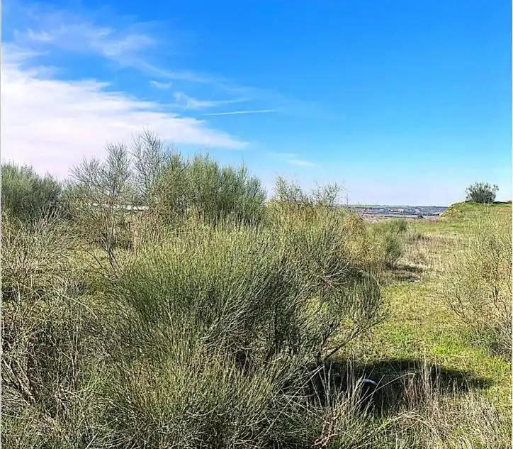 Residential land for sale in SP.P.P.12, imagen 9