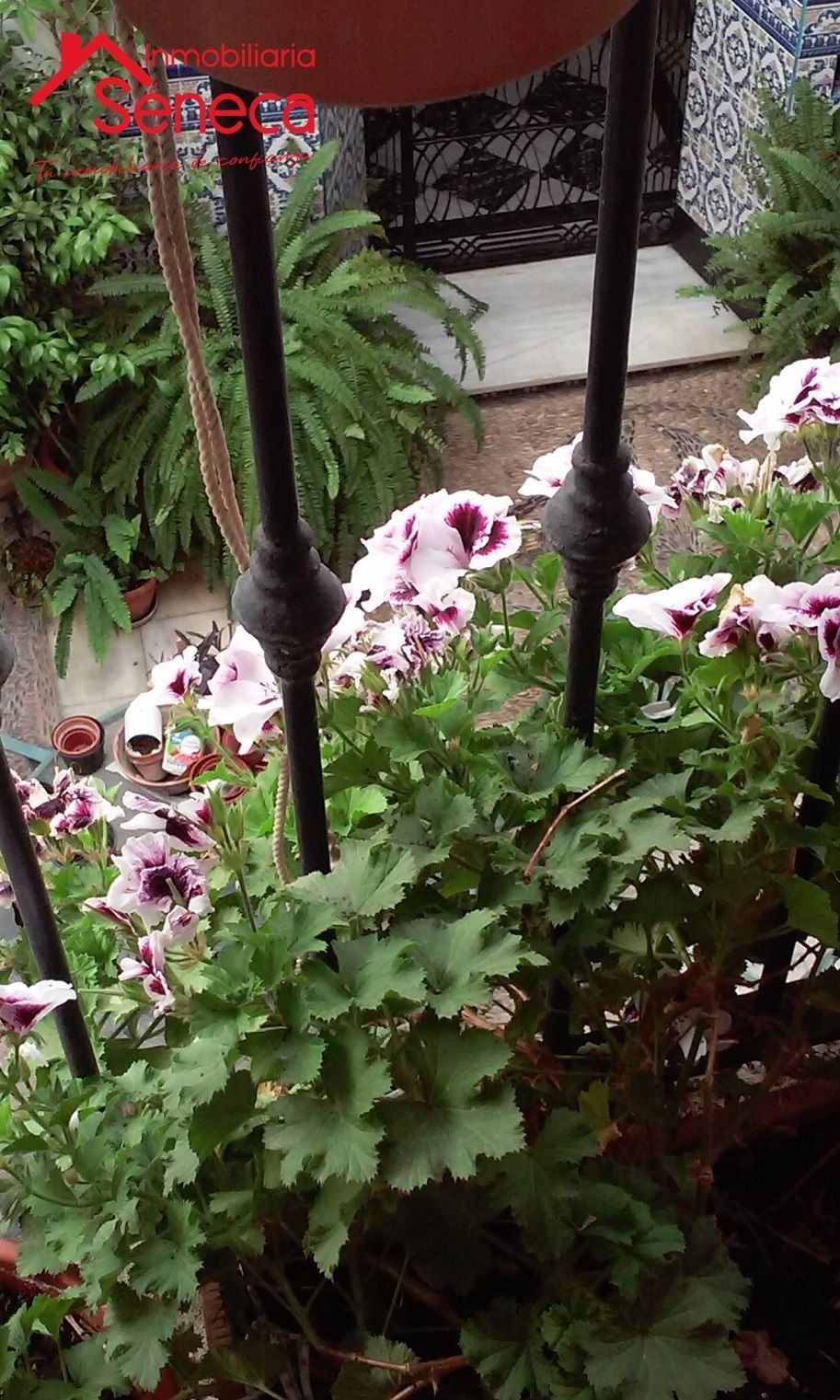 House or chalet for sale in Casco Histórico  - Ribera - San Basilio