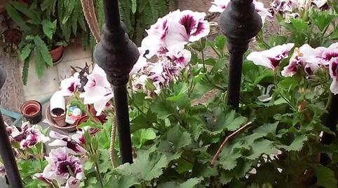 Photo 3 of House or chalet for sale in Casco Histórico  - Ribera - San Basilio,  Córdoba Capital