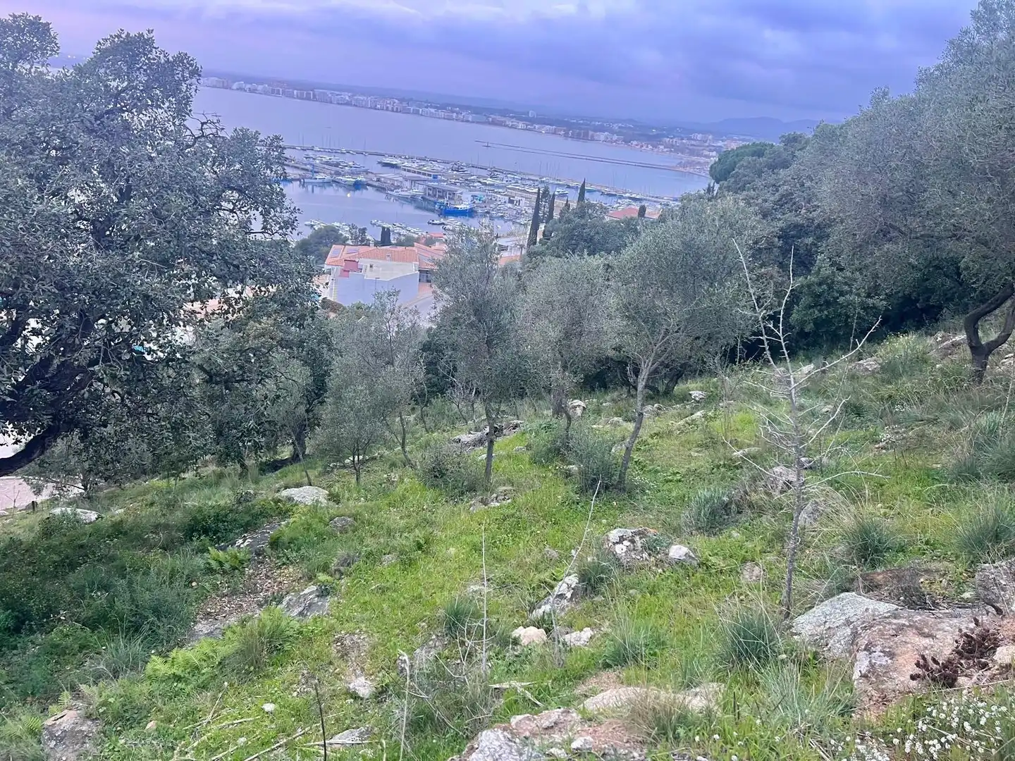 Terrenys i solars en venda a Pasaje de Marià Aguiló 19, imagen 17