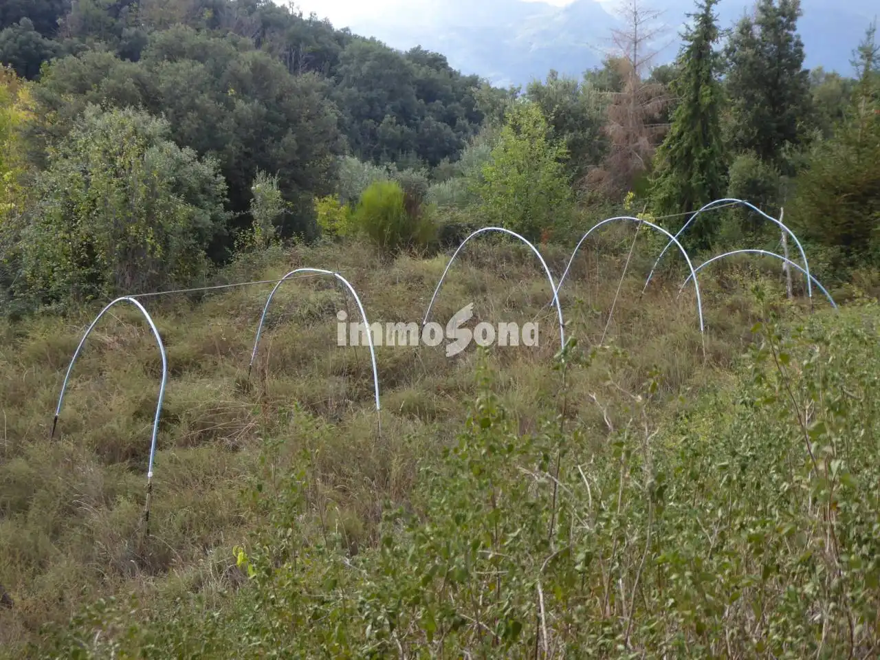 Terreno rústico en venta en Sant Hilari Sacalm, imagen 22