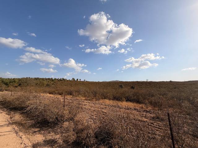 Terreno en Venta en Calle Puerto de la Cruz, 1 en Puebla de Guzmán