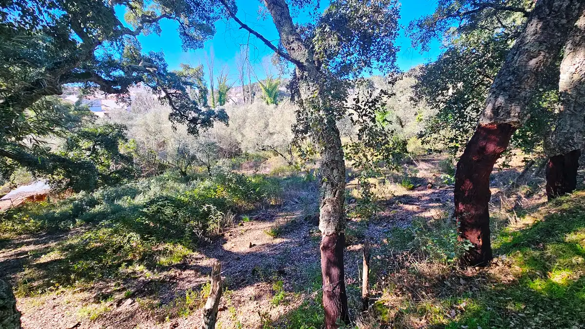 Residencial en venta en Santa Ana la Real