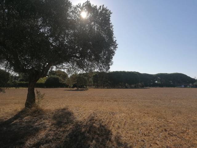 Finca rústica en Venta en Las Canteras
