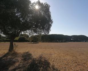 Finca rústica en venda en Puerto Real