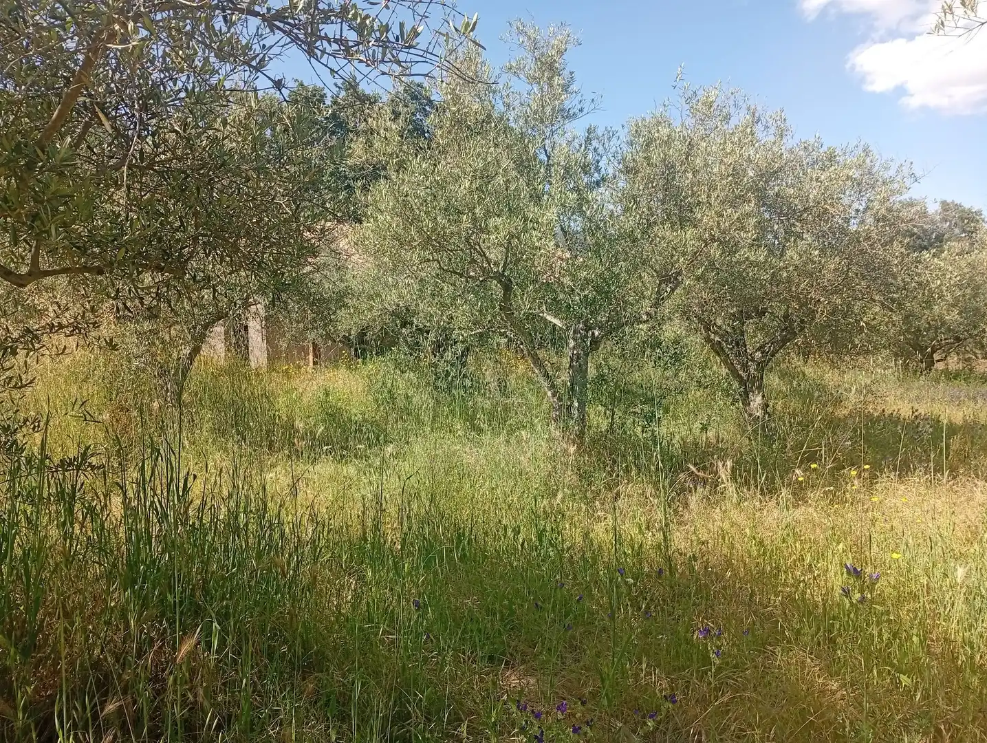 Maison à vendre à Villanueva de la Vera, imagen 49