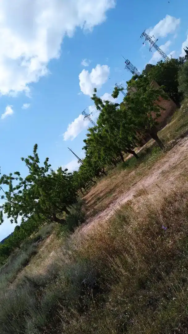 Pis en venda en Bovera