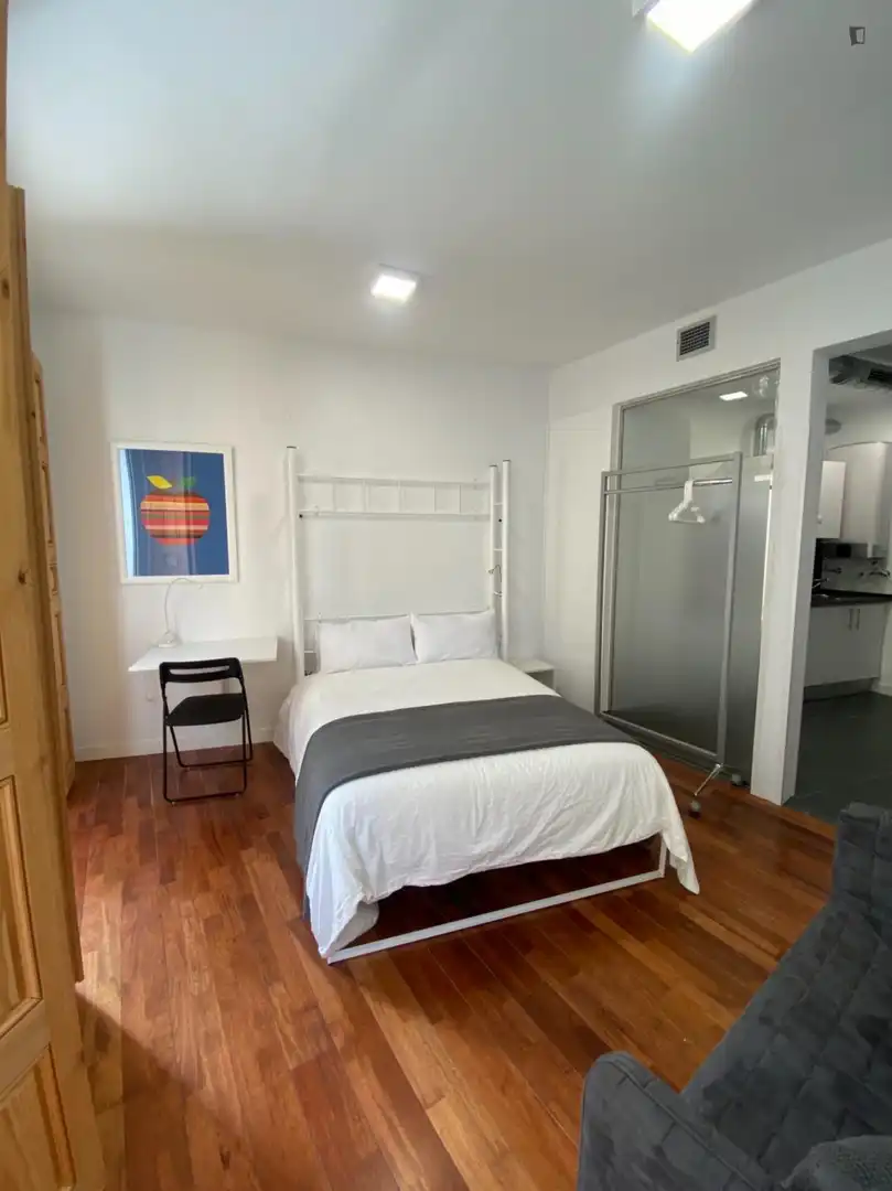 Estudio en alquiler en Centro, imagen 11