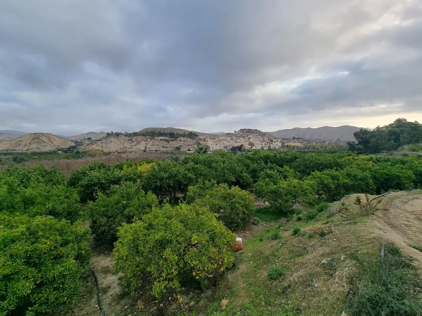 Rural land for sale in Calle Camino Ancho 4, imagen 3