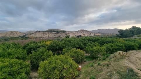 Foto 3 de Terreny en venda a Calle Camino Ancho, 4, Terque, Almería