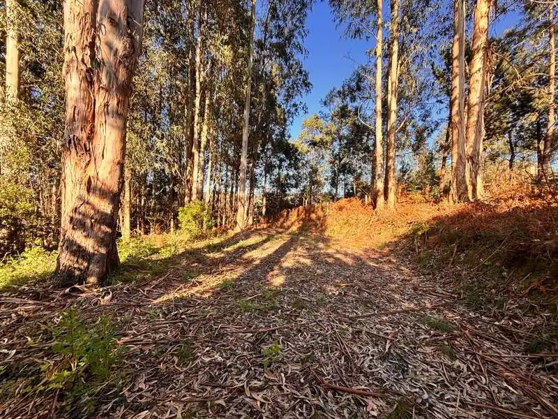 Terreno en venta en Gorliz