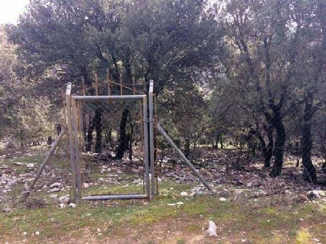 Terreno en Venta en Calle Huertos en Pozo Alcón