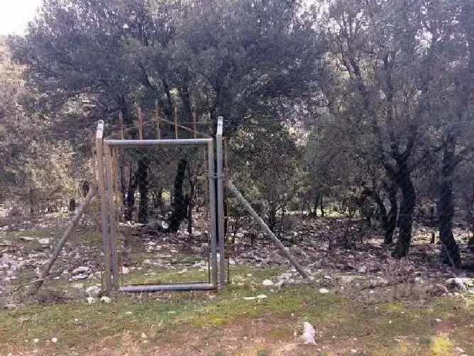 Terreni e lotti in vendita a Pozo Alcón