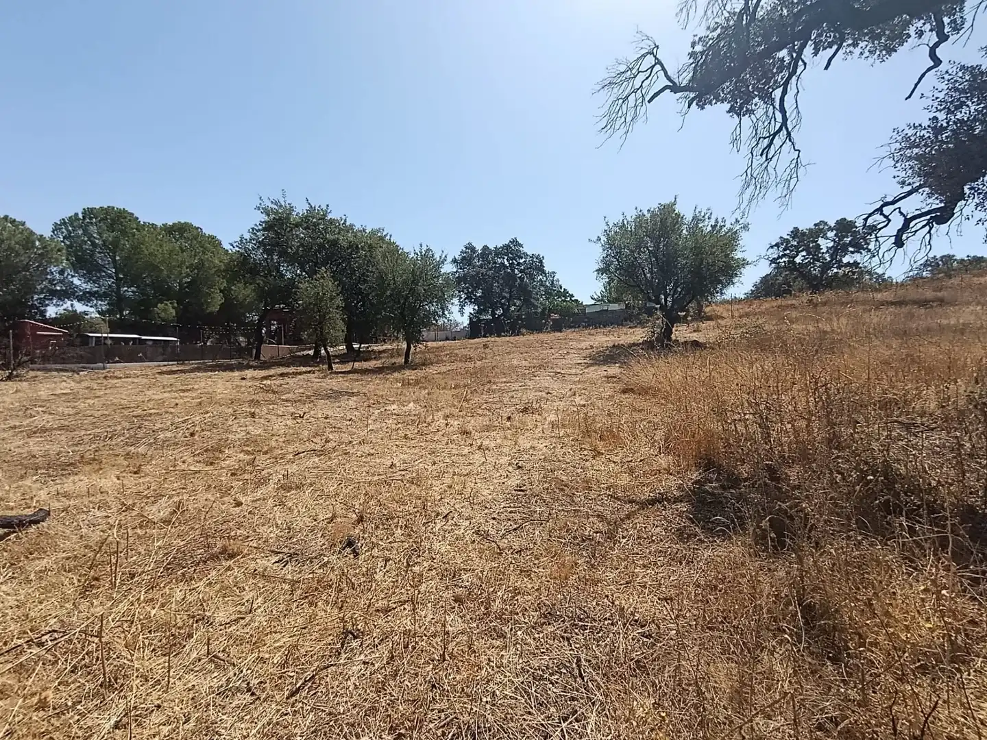 Terreni e lotti in vendita a Castilblanco de los Arroyos, imagen 14