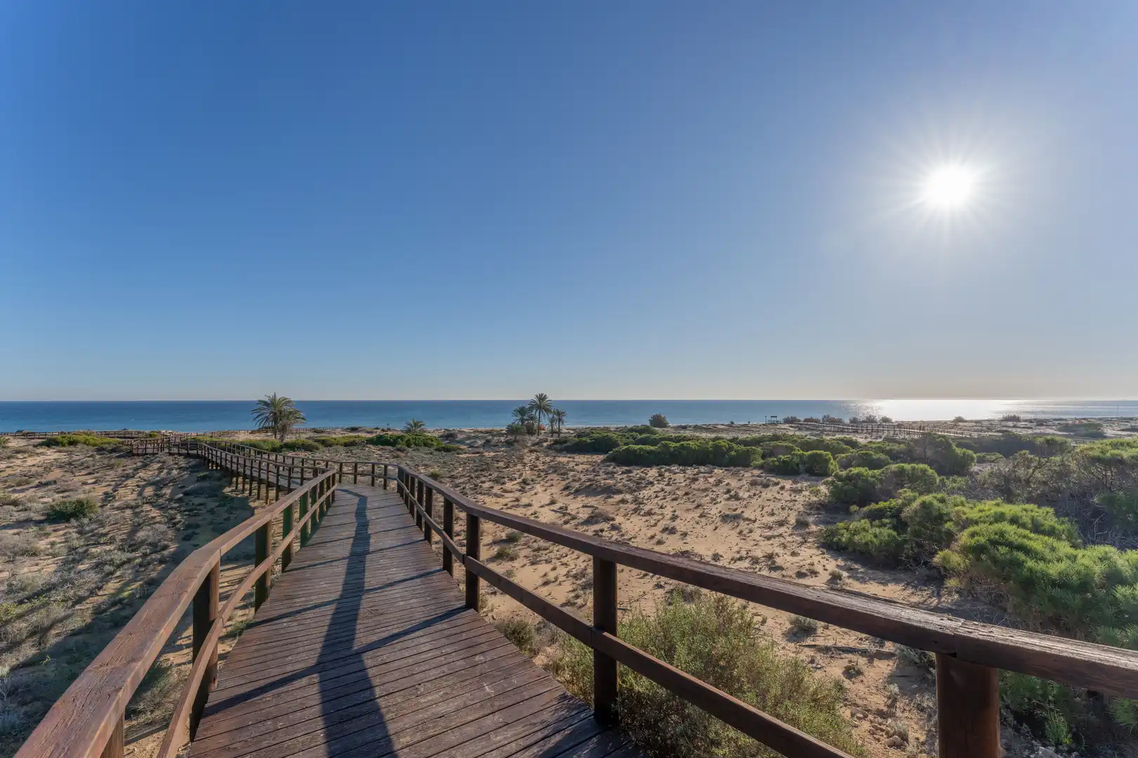 Vista exterior de Apartamento en venta en Elche / Elx con Calefacción, Terraza y Piscina