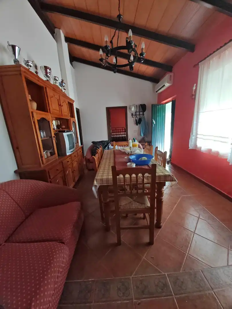 Comedor de Casa o chalet en venta en Hornachos con Jardín privado y Terraza
