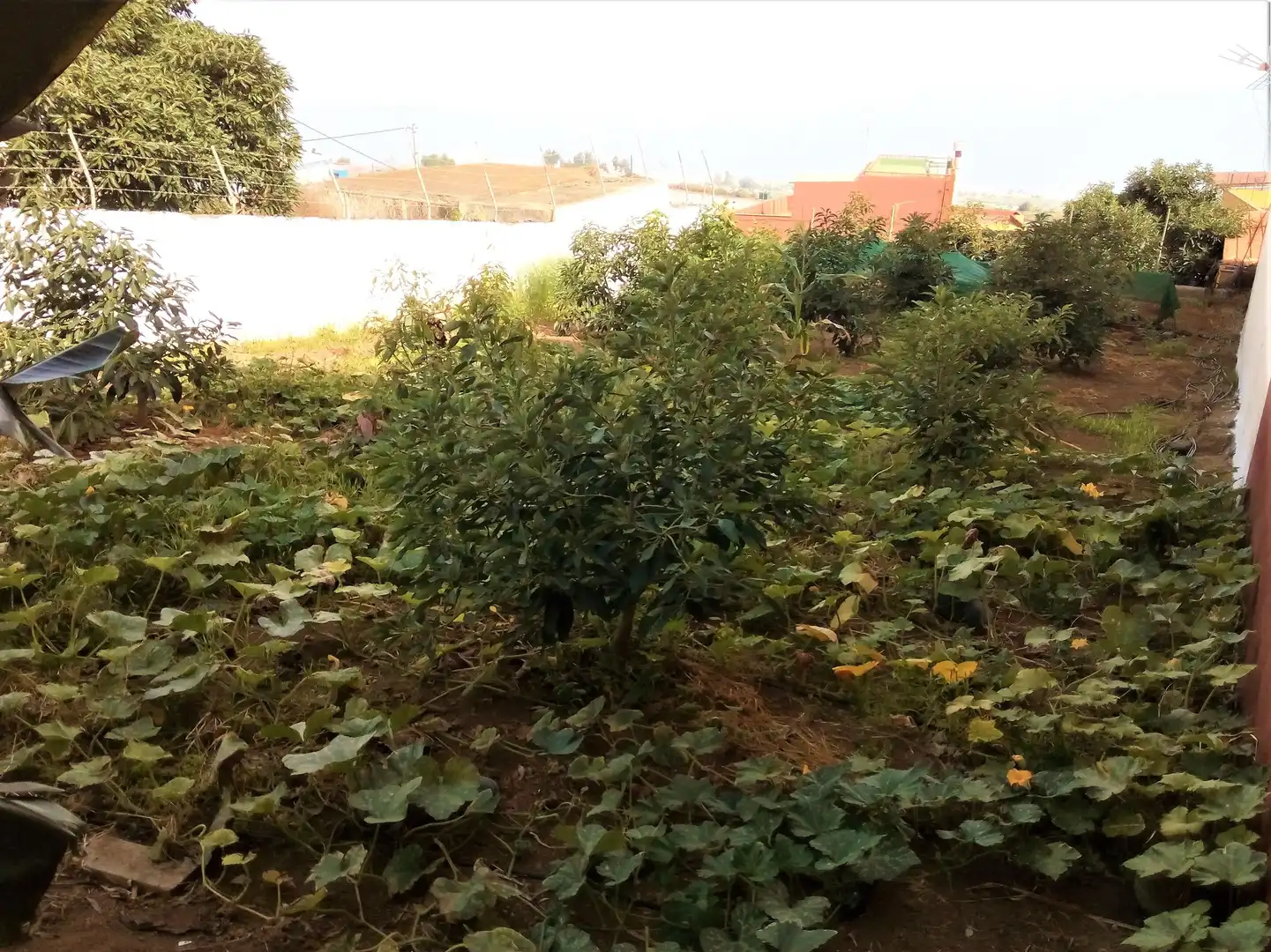 Houses for sale in Los Realejos  with Private garden, Terrace and Storage room