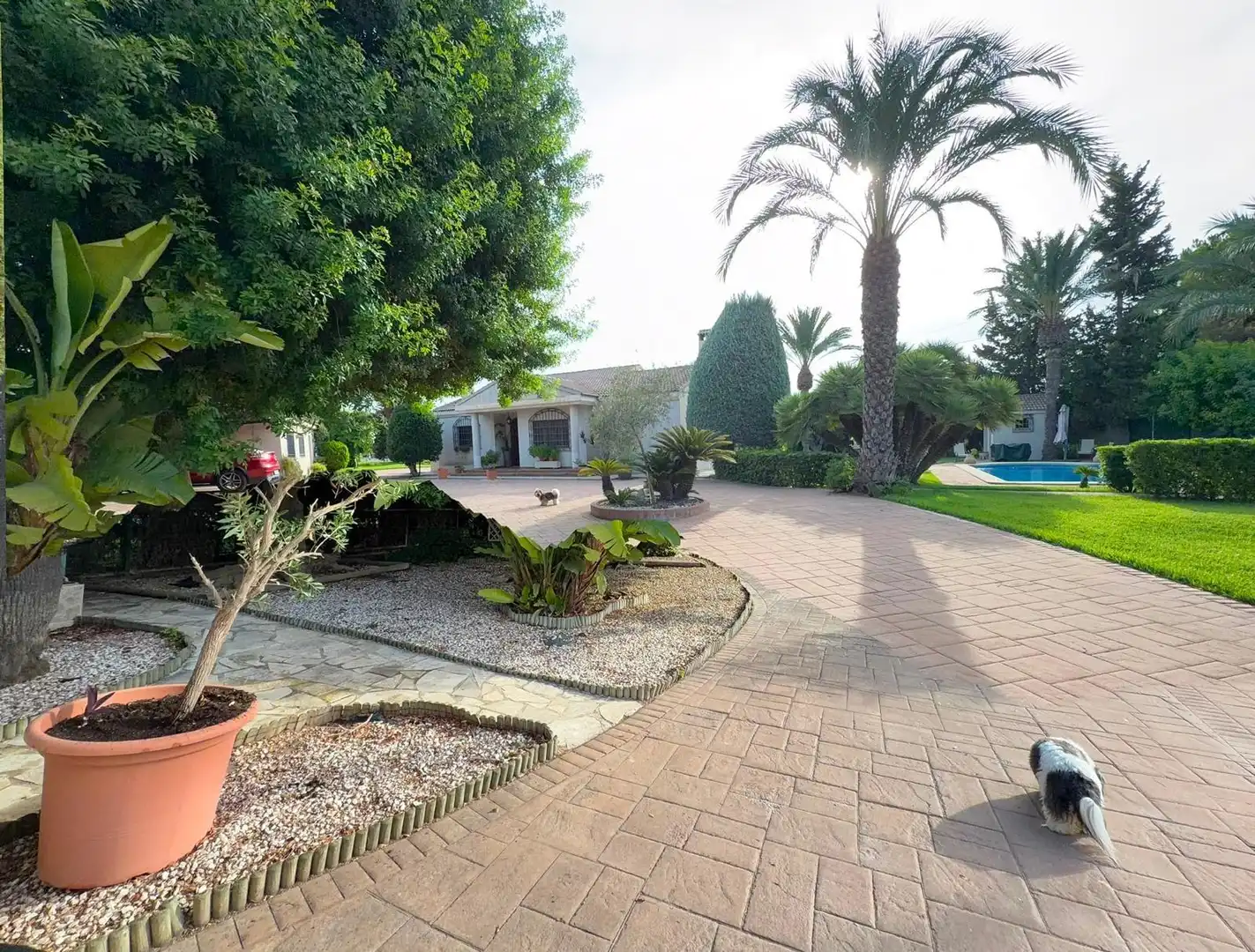 Villa avec piscine à louer à Valverde, imagen 5