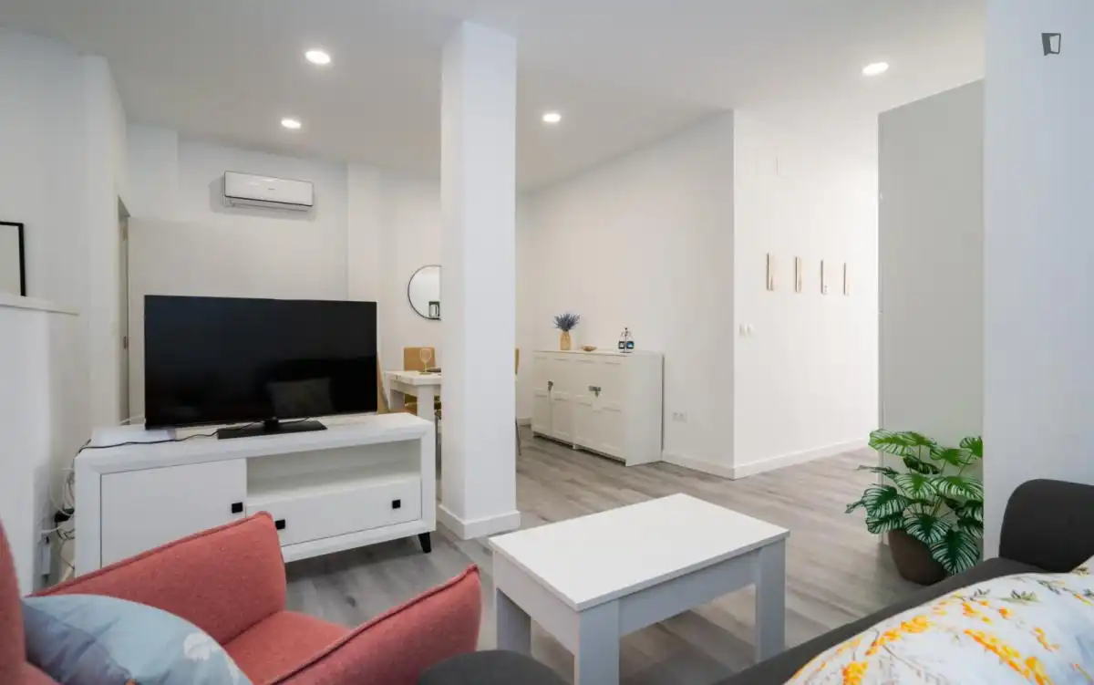 Sala d'estar de Estudi de lloguer en Málaga amb Aire condicionat, Calefacció i Moblat