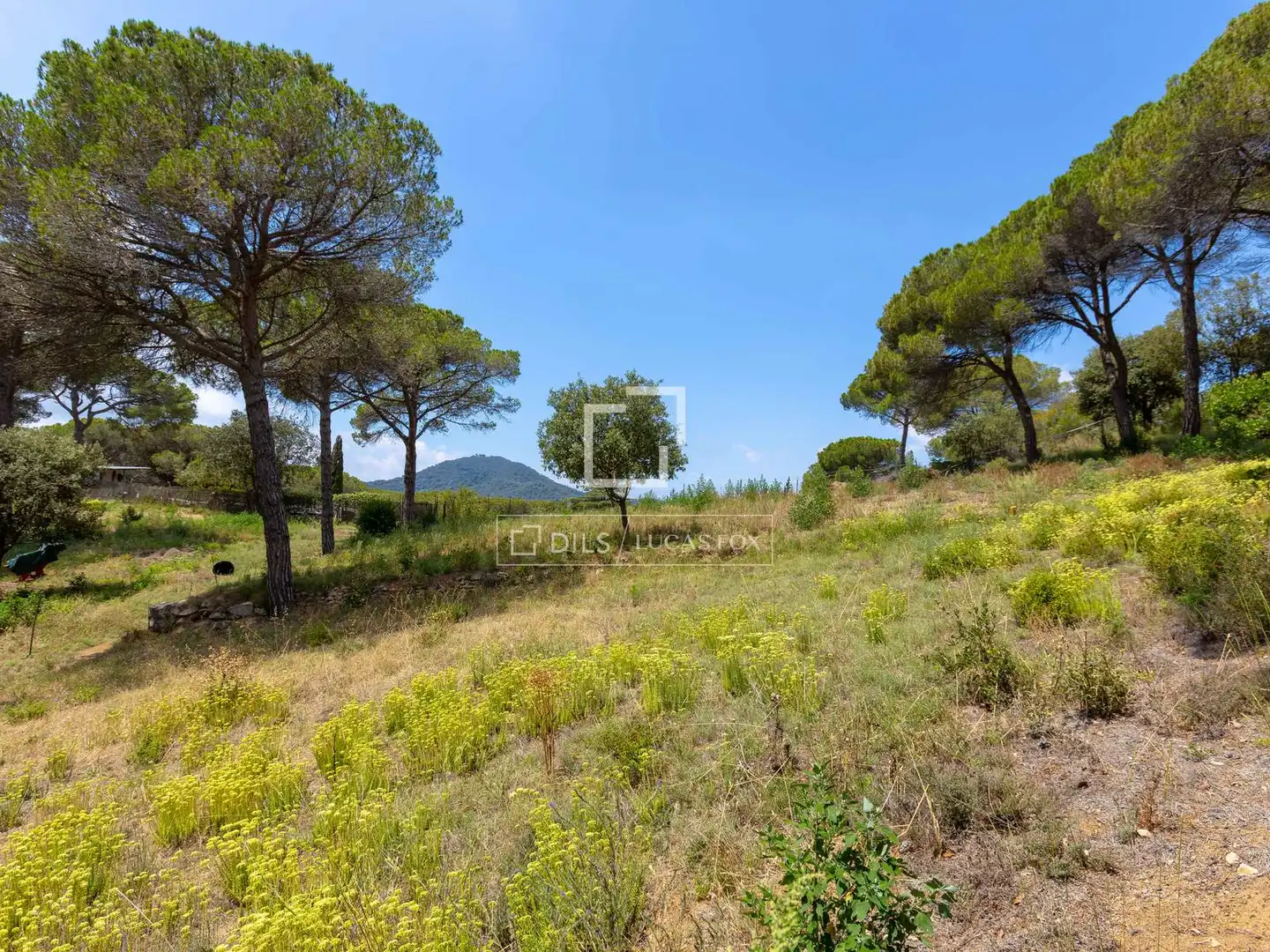 Rural land for sale in Vallromanes, imagen 16