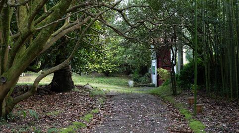 La Casa del Magnolio. Algunas casas nacen para durar.